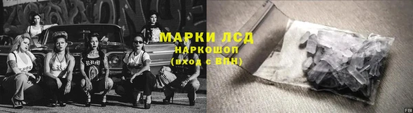 прущие грибы Алексин