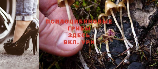 ешки Алексеевка