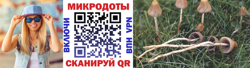 Псилоцибиновые грибы мухоморы  Купить закладки  Собинка 